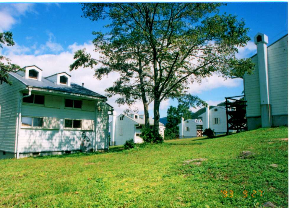 草原に1本の木や白い建物が建っている写真