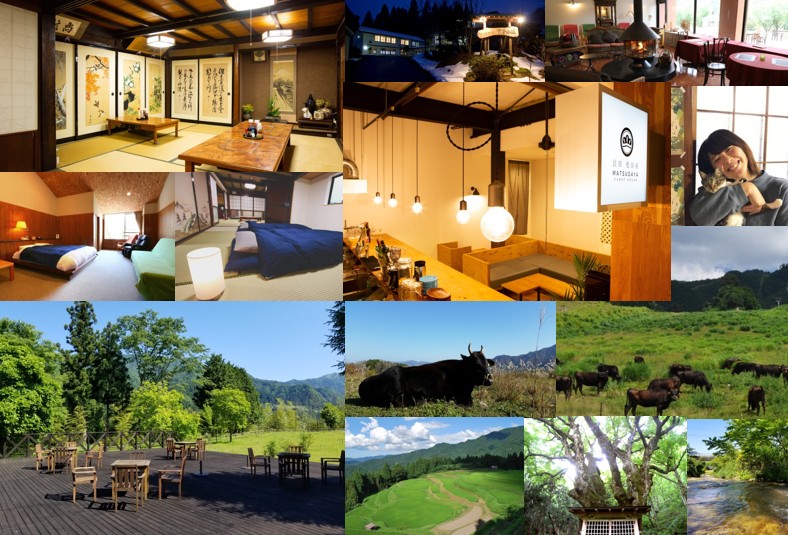 和室や草原の写真などが13枚並んでいる写真