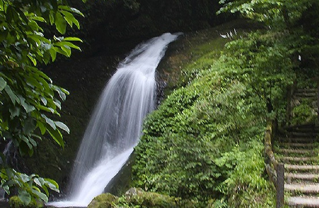 苔むした岩場を流れる滝の写真