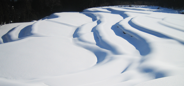 雪の積もった真っ白な棚田の写真