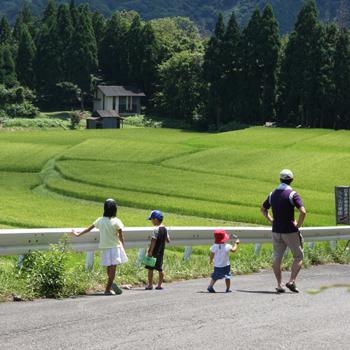 青々とした稲が植わった田んぼ脇の道路を歩く子供3人と大人1人の写真