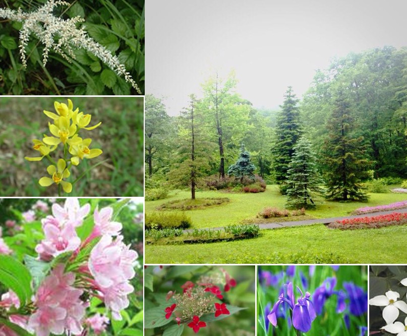 手入れされた草木がある広場の写真の周りに黄色や薄ピンク色の花の写真が6枚並んでいる写真