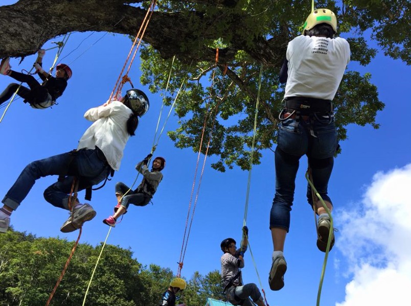 木から吊るされたロープを登っている人たちの写真