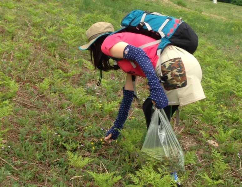 かがんで草を採っている女性の写真
