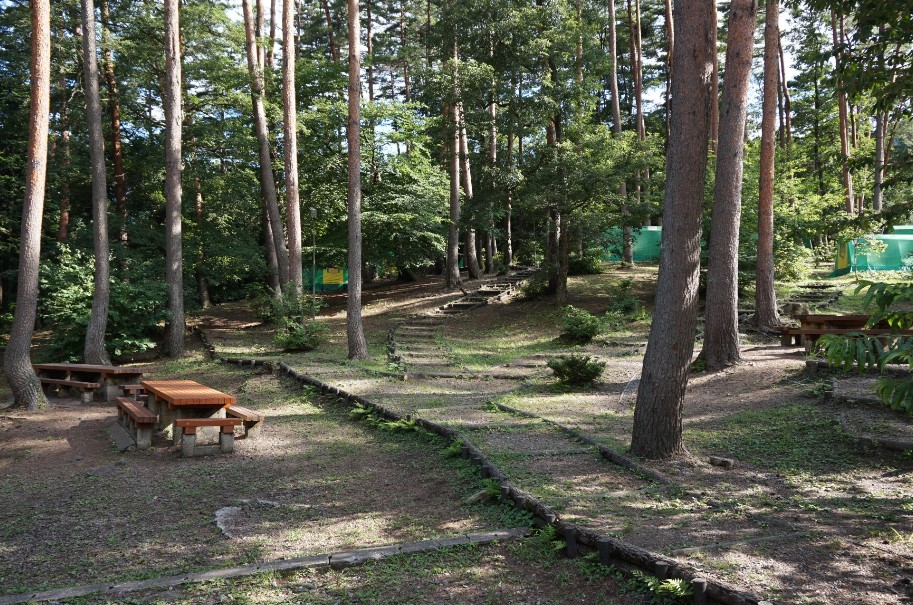 森の中に置かれた木のテーブルとイスの写真