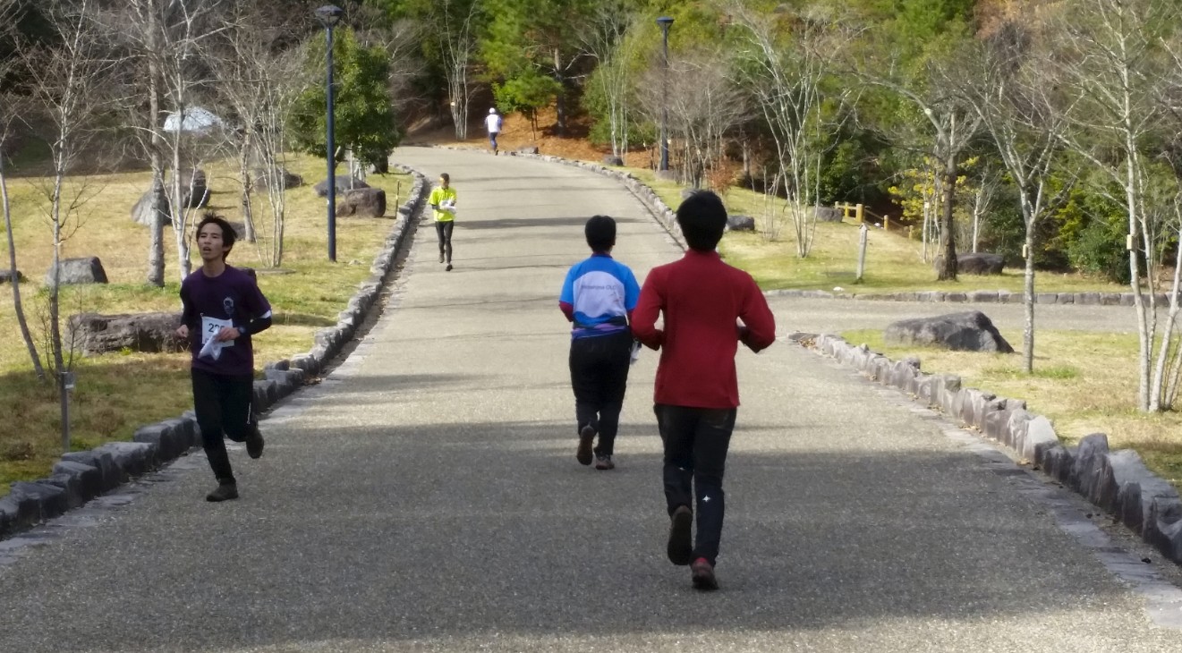 木が植えられた敷地内の舗装路を走るランナーの写真