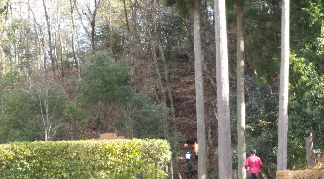 生垣や林の間を走っているランナーの写真