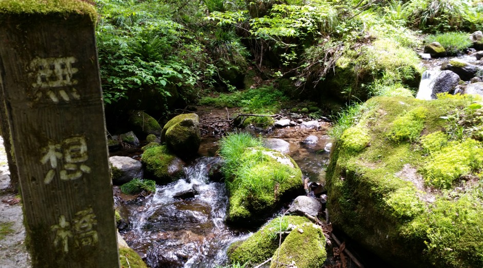 「無想橋」と書かれた看板の奥にある苔むした岩場に川が流れている写真