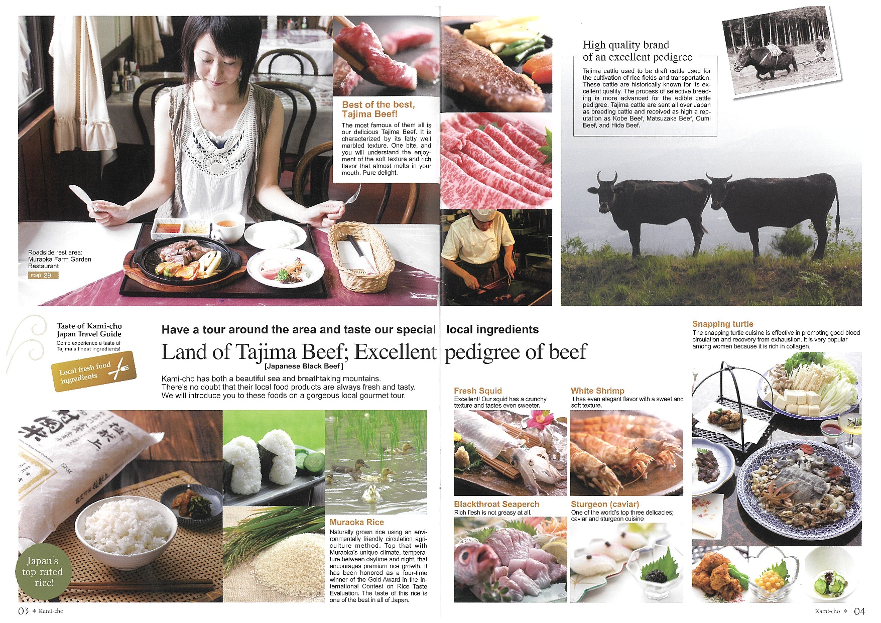 英語の香美町観光パンフレットの3ページ・4ページ