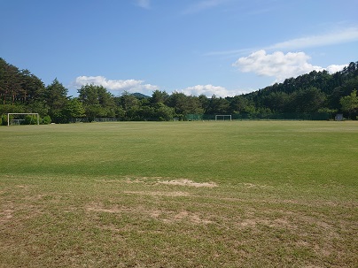 奥にサッカーゴールやソフトボールの防護ネットが見える一面芝生のグラウンドの写真