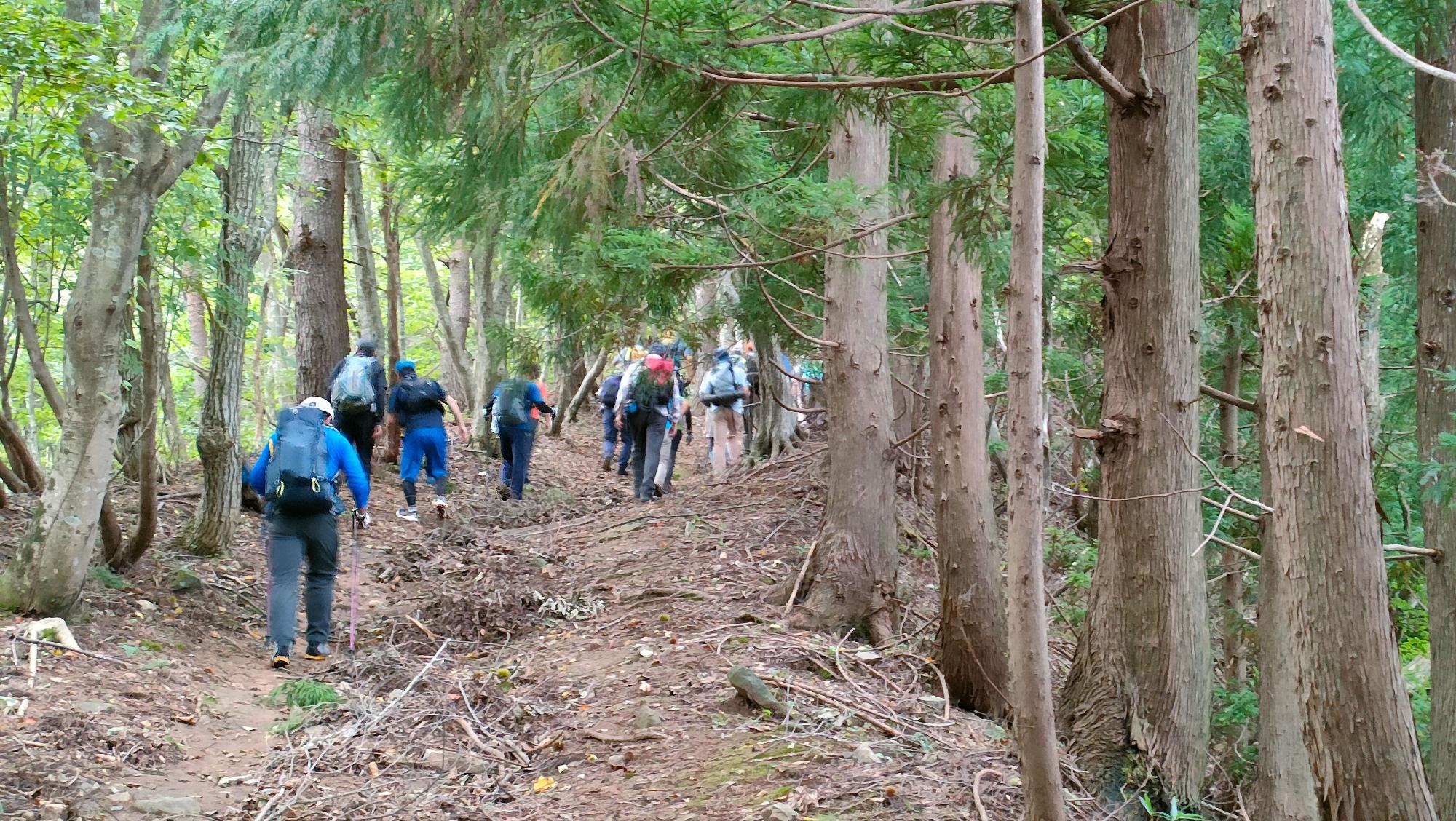 山道の斜面を登っている登山客の後ろ姿の写真