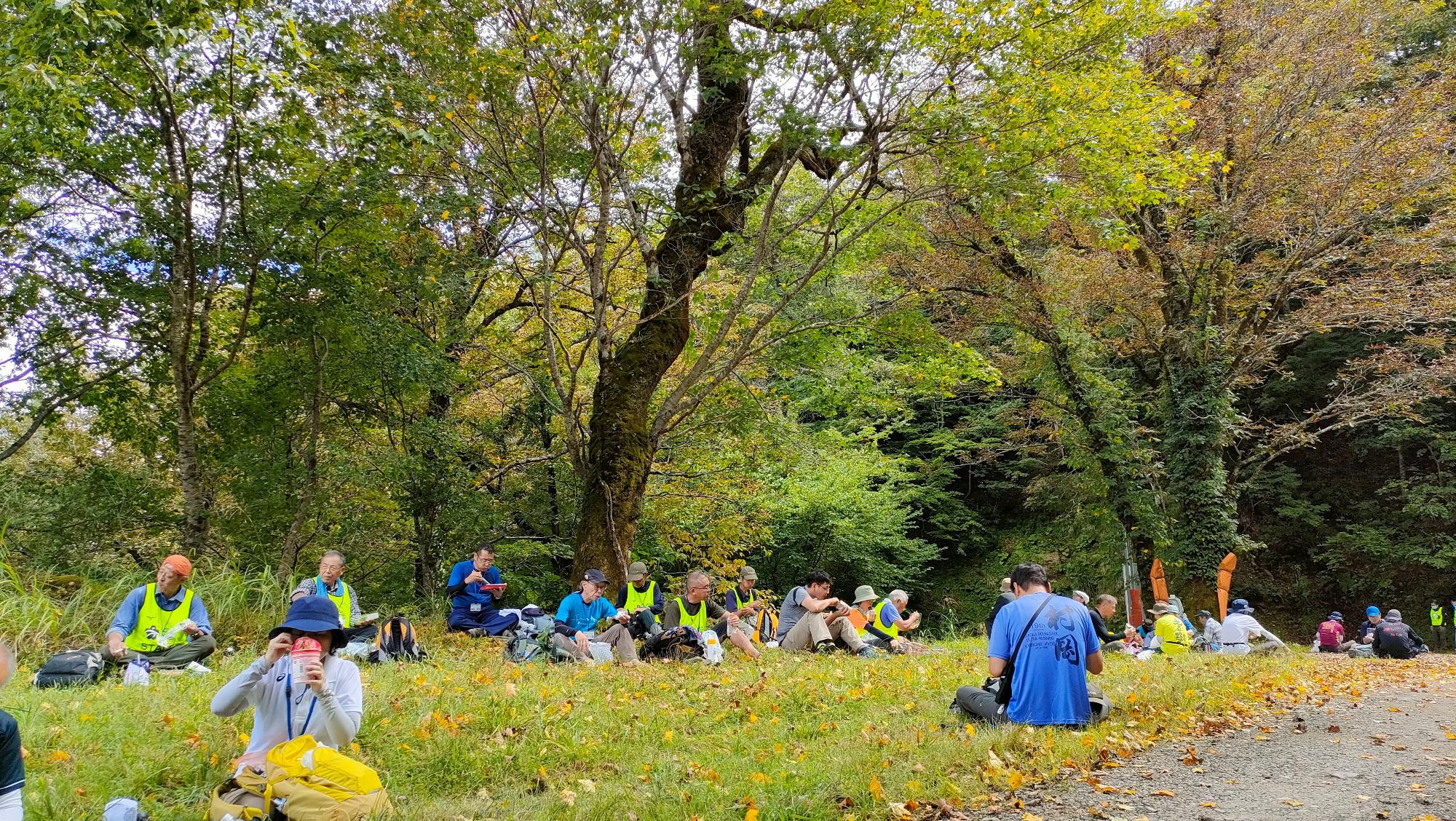 自然豊かな広場に腰を下ろしている登山客の写真