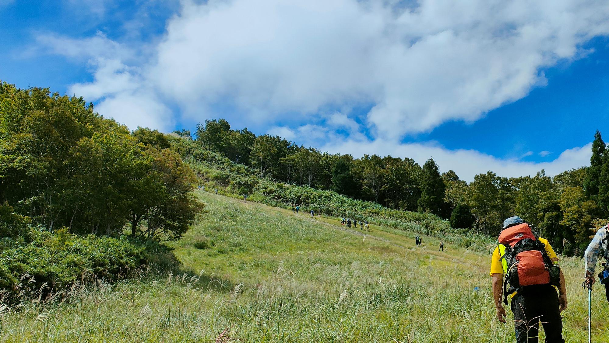 山の斜面の草地を歩いている登山客の写真