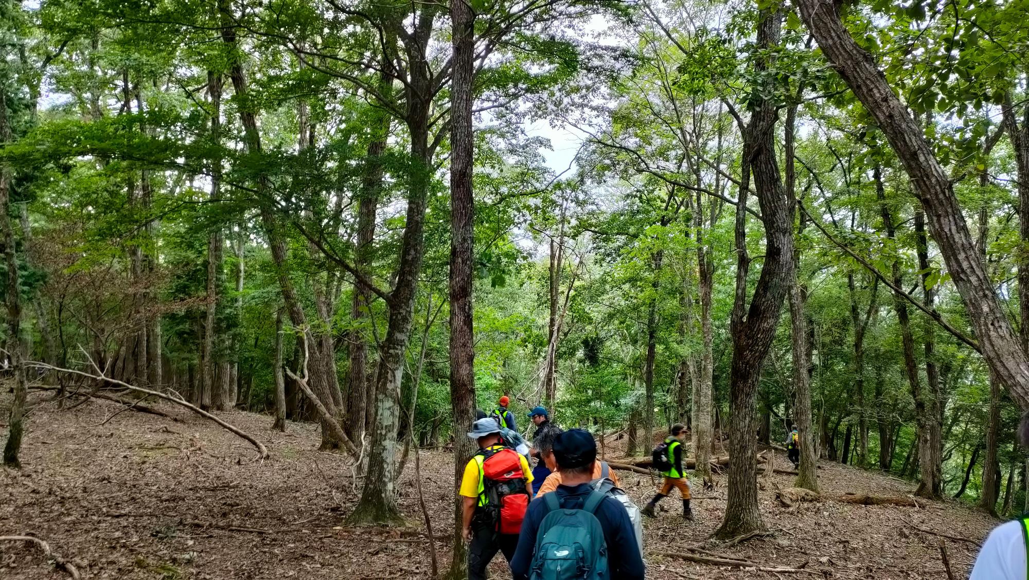 山道を列になって歩いている登山客の写真