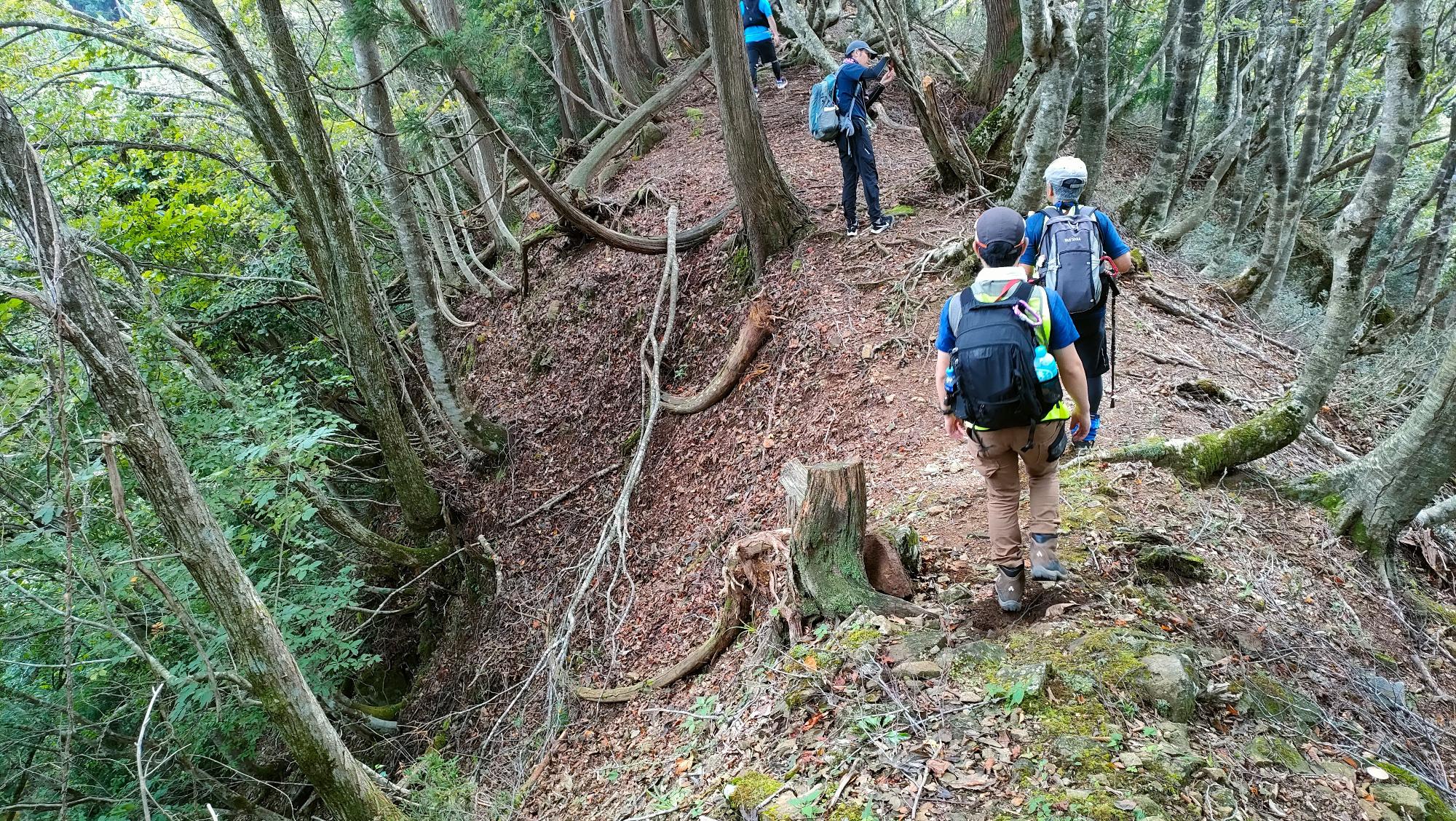 山道を下っている登山客の後ろ姿の写真