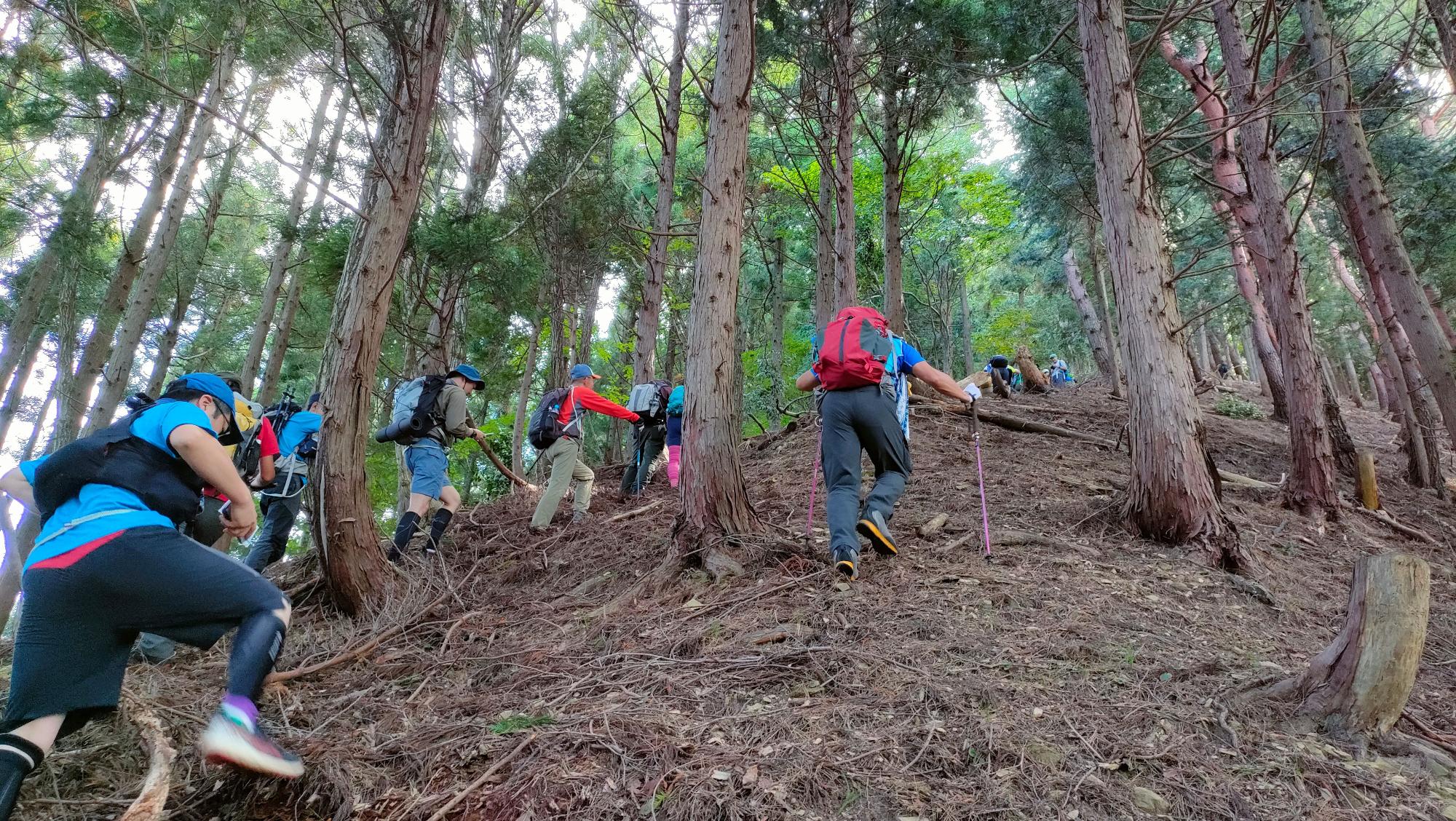 山の中の急斜面を登っている登山客の後ろ姿の写真