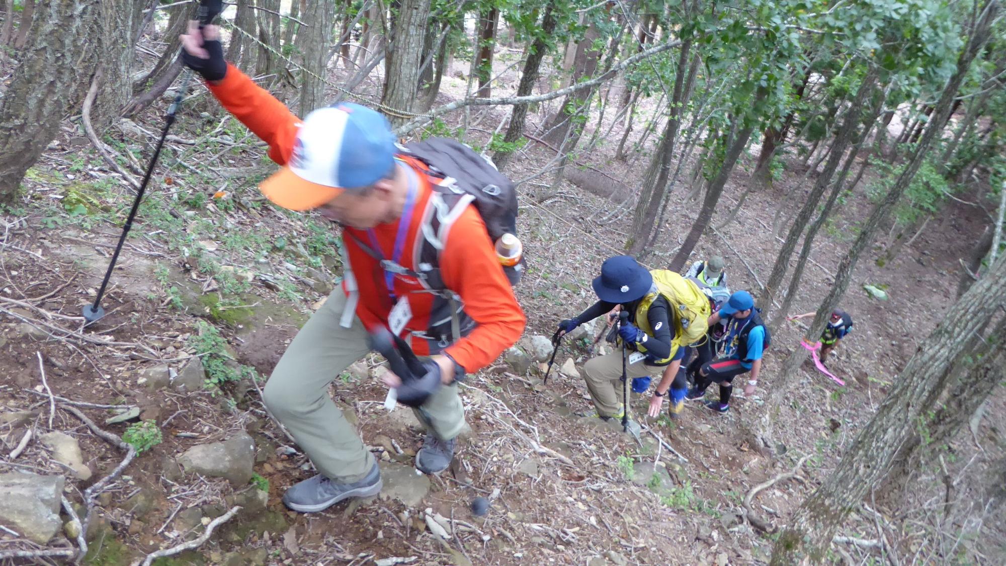 山道の急斜面を杖を使って登っている登山客の写真