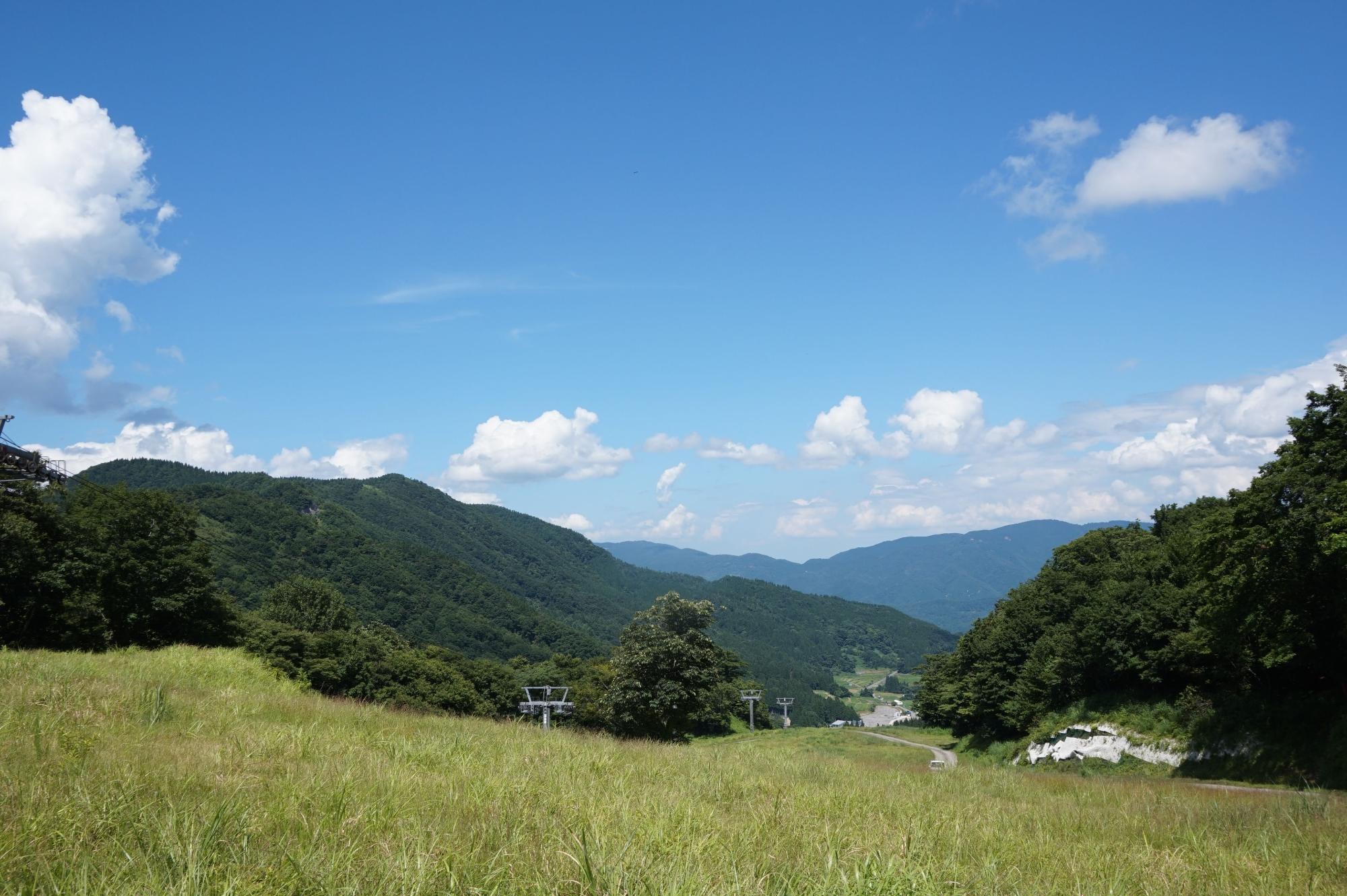 芝の生えた坂を上部から見下ろしている写真