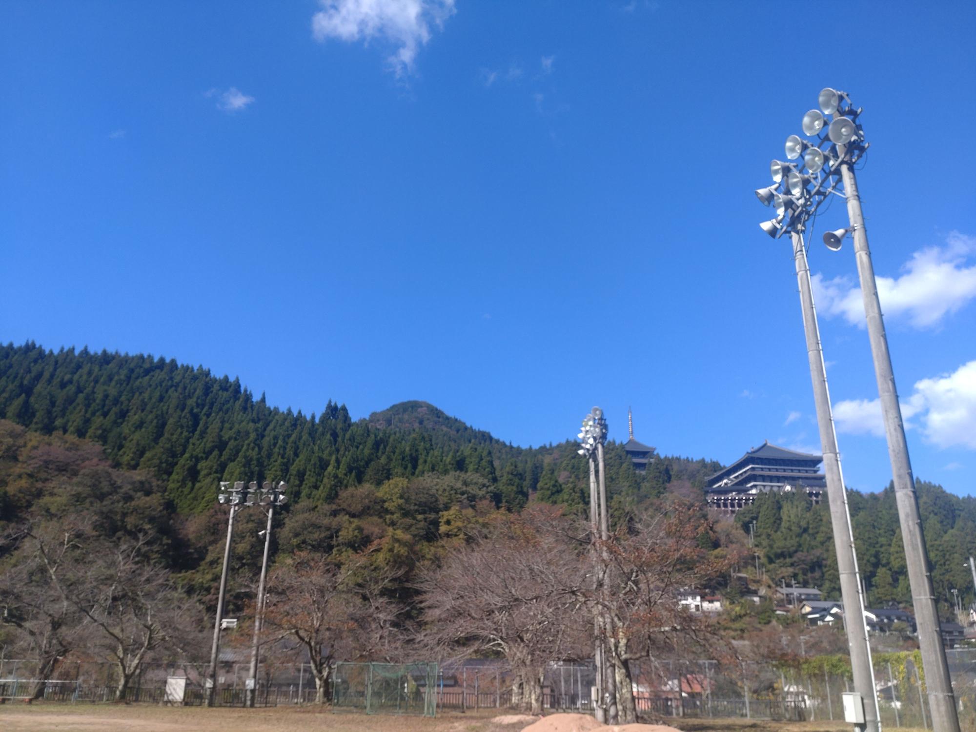 グラウンド照明が複数台設置されている野外の写真