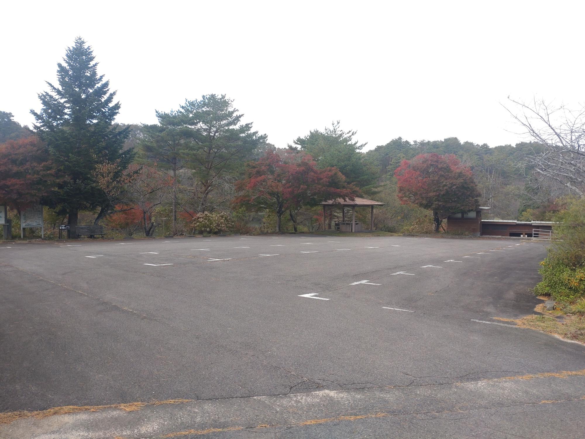 紅葉した木々が周りを取り囲むアスファルトの駐車場の写真