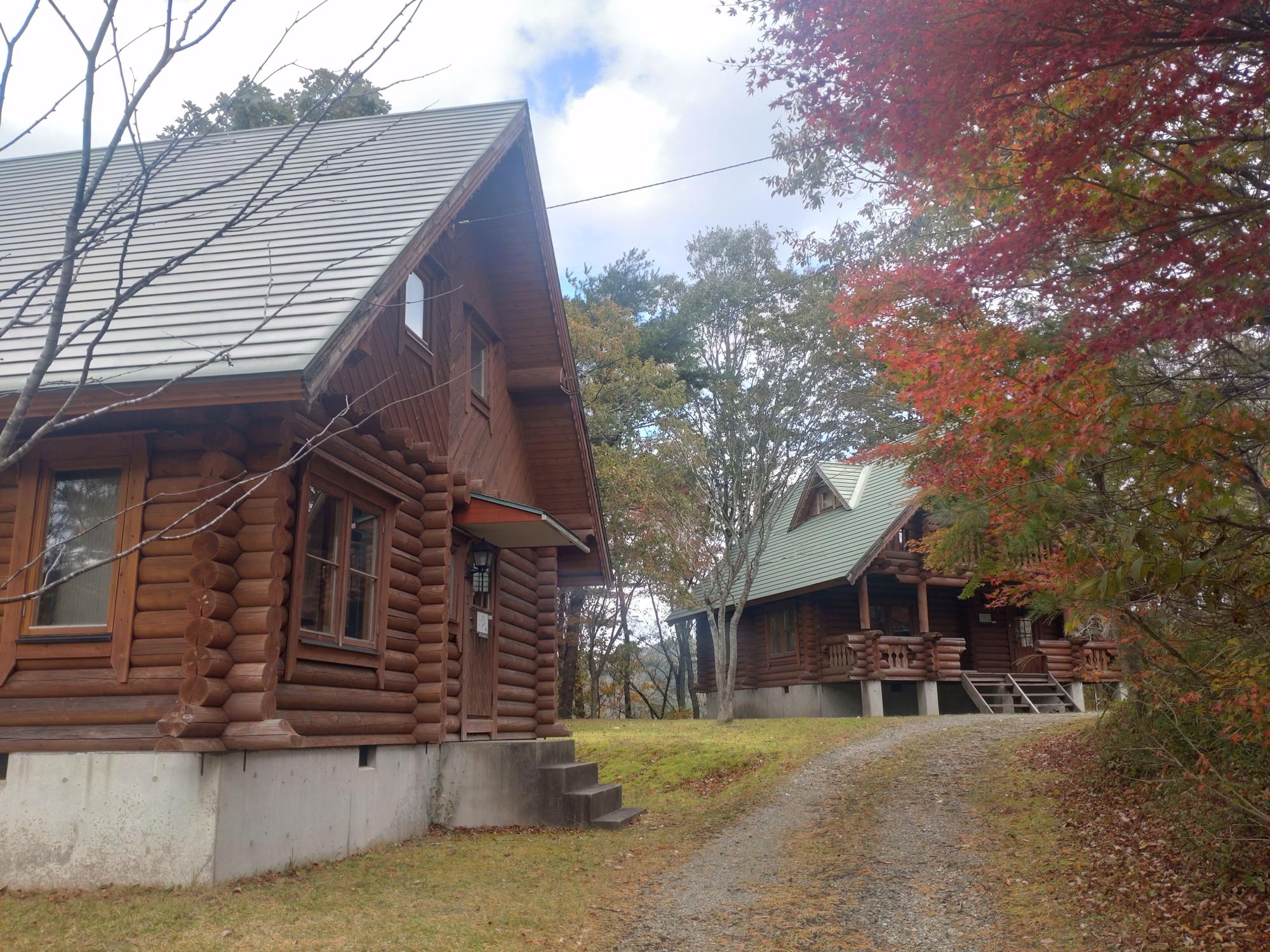 林に隣接した二棟のログハウスの写真