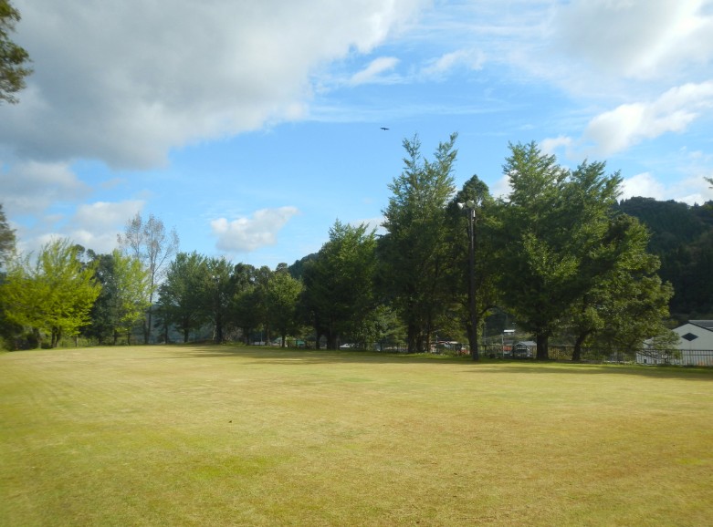 周りが木に囲まれている広い芝生のグラウンドの写真