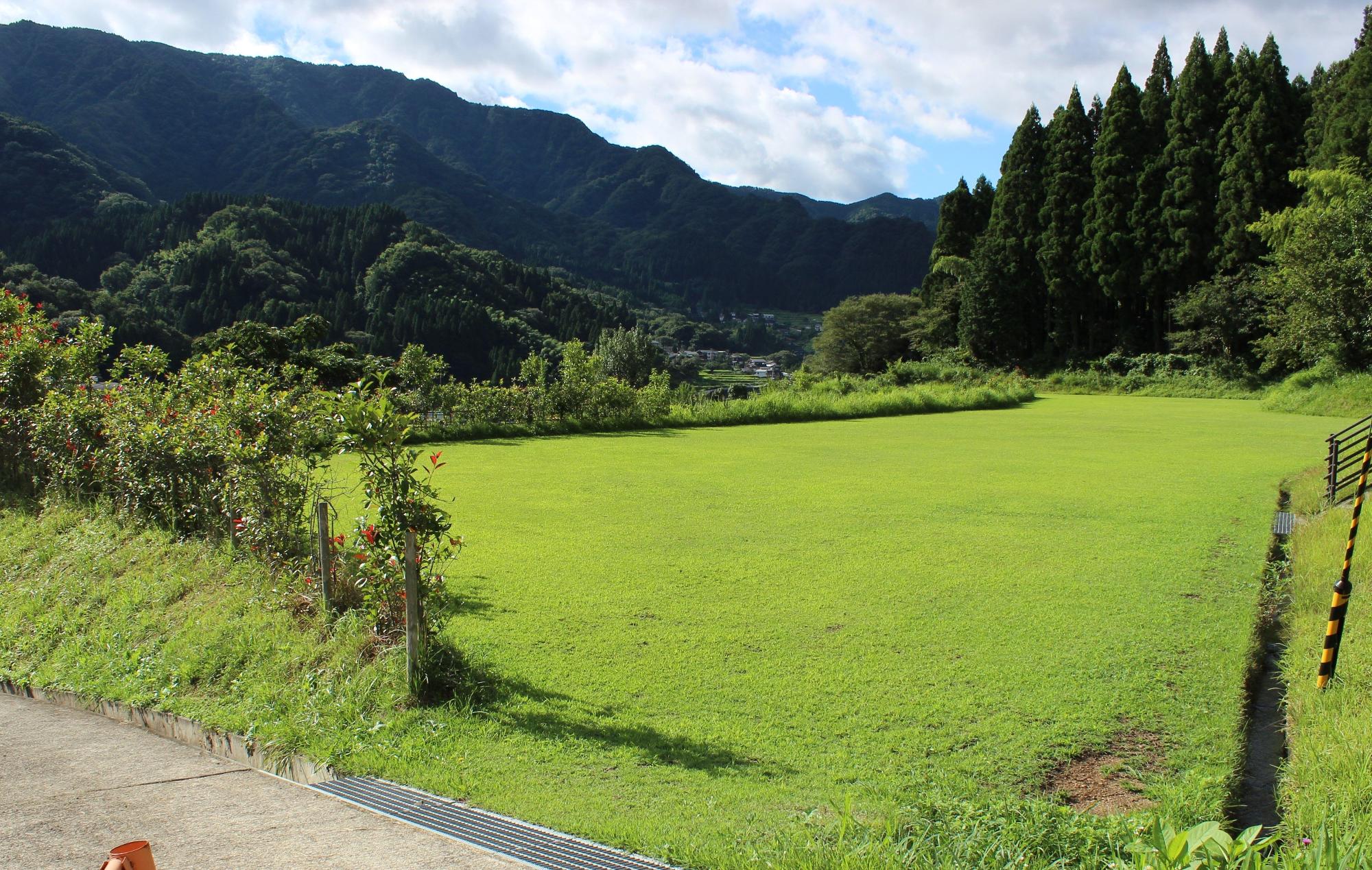 奥に山が見える芝生の広場の写真