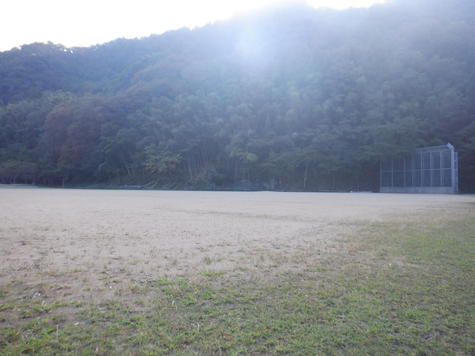 たくさんの木が茂っている森の前にあるグラウンドの写真