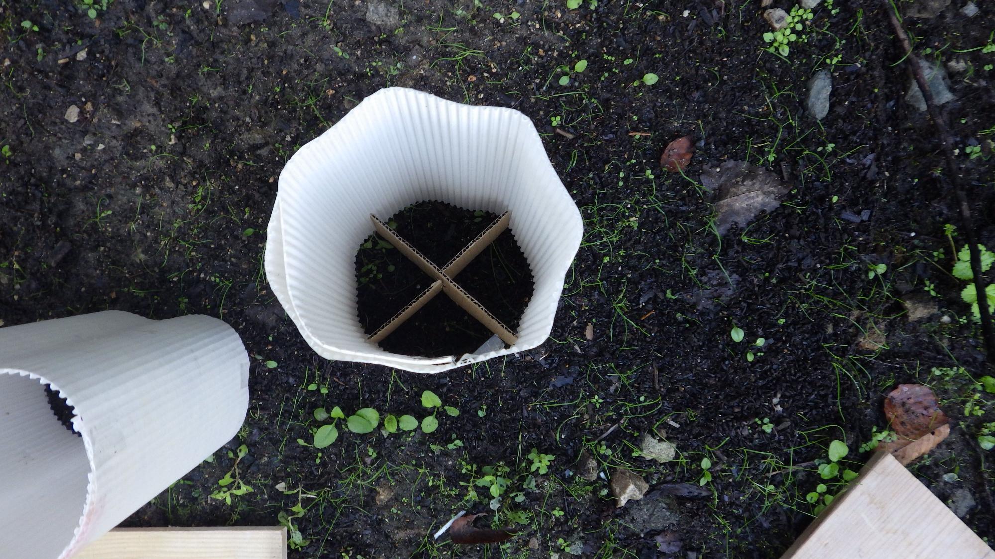 中に十字に組まれた段ボールが入った白い筒が土の上に置かれている写真