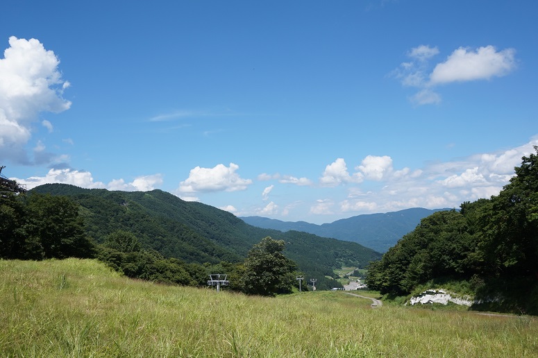 芝の生えた坂を上部から見下ろしている写真