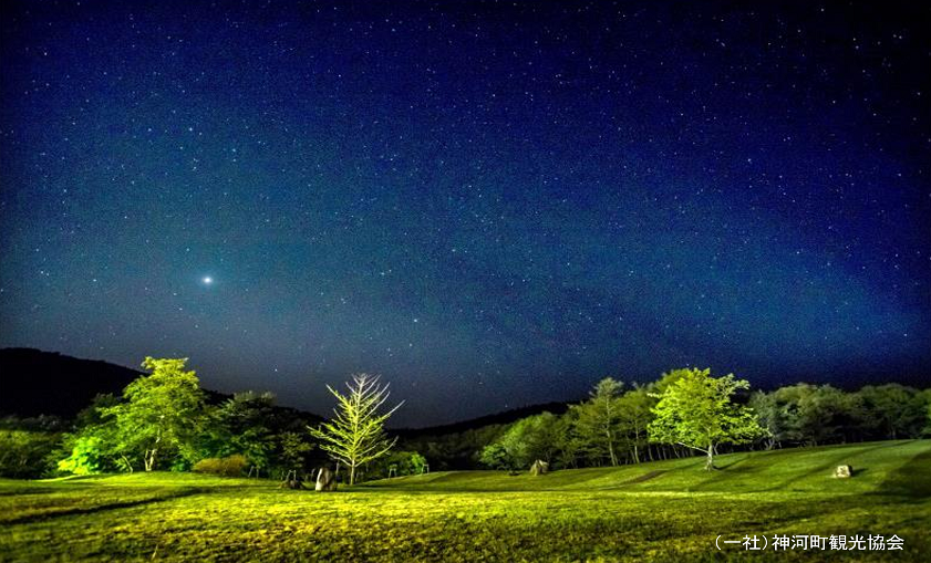 草原の上に広がる満天の星空の写真