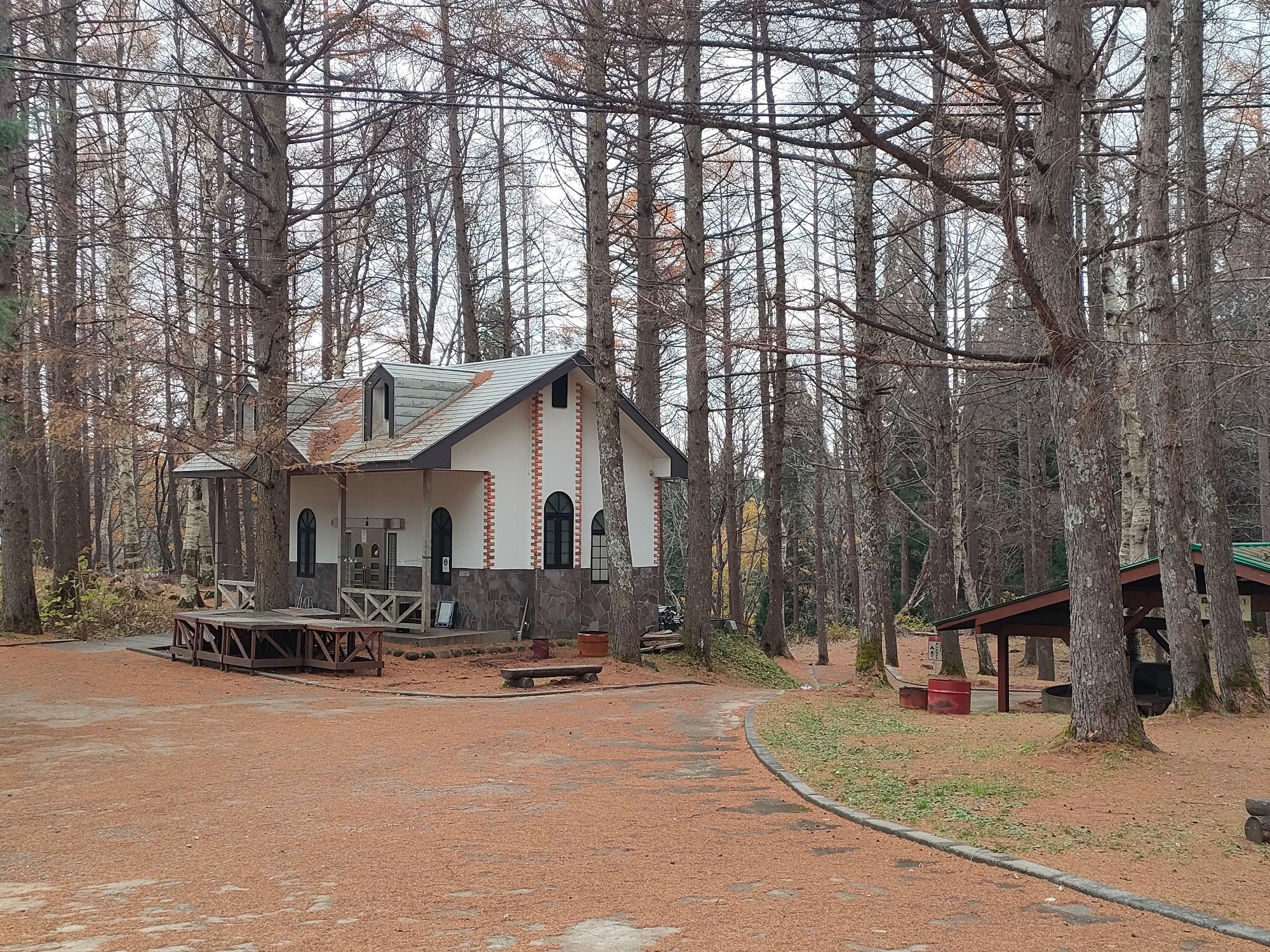 枯れ木の中に建つ1件の家屋の写真