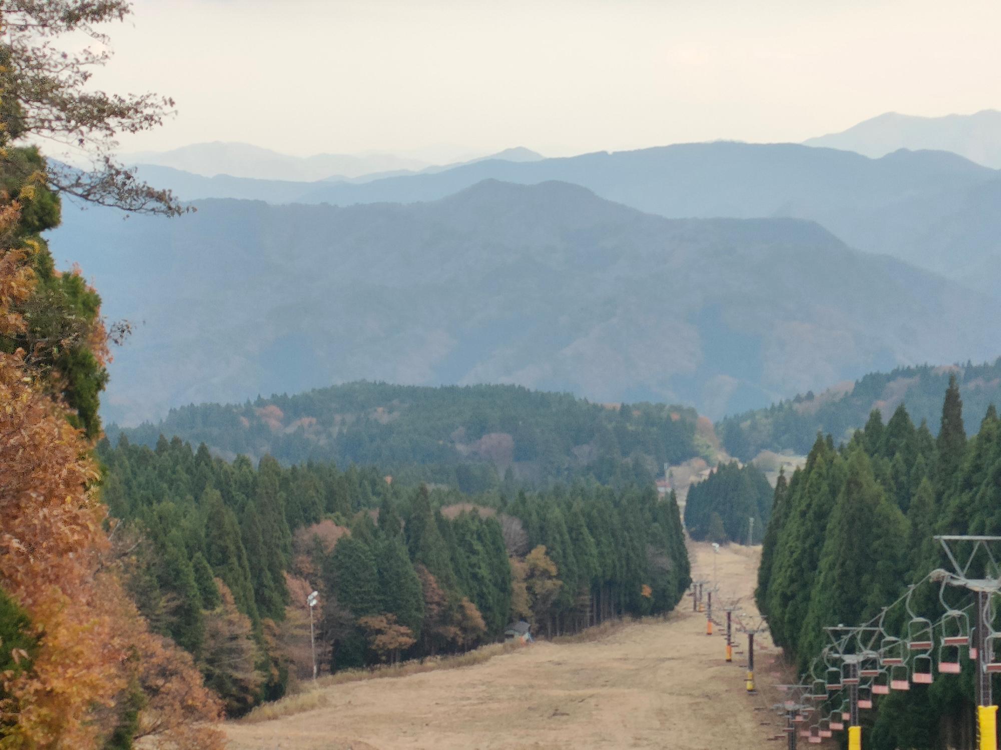 木の間の開けた傾斜に設置されたリフトの写真