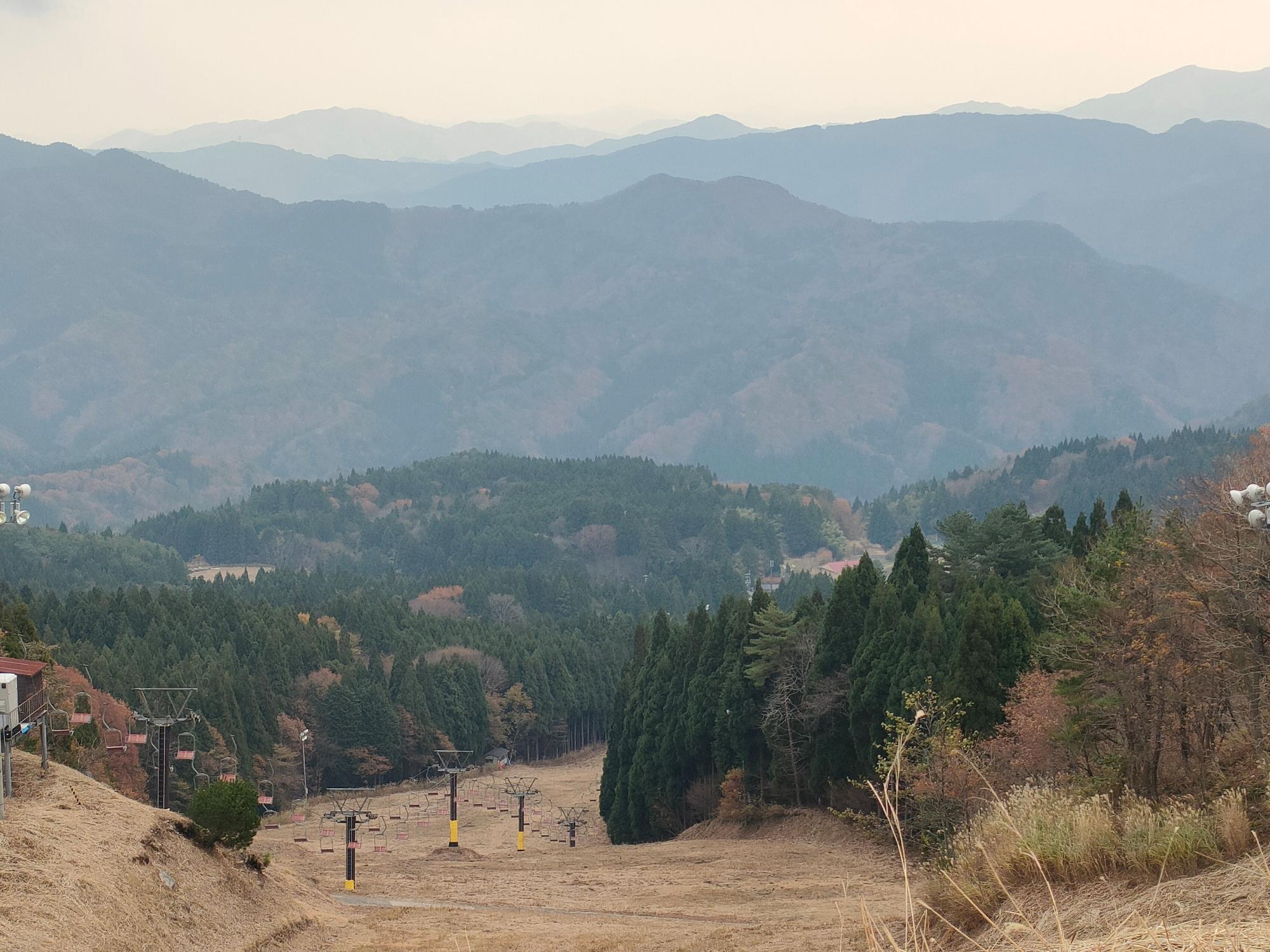 奥に山の見える場所に生えた木の間の開けた斜面に設置されたリフトの写真