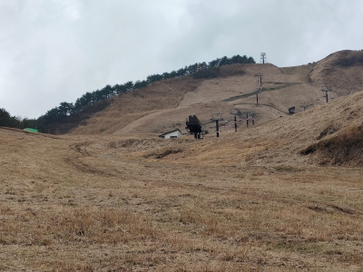 山の斜面に生えた枯草の写真