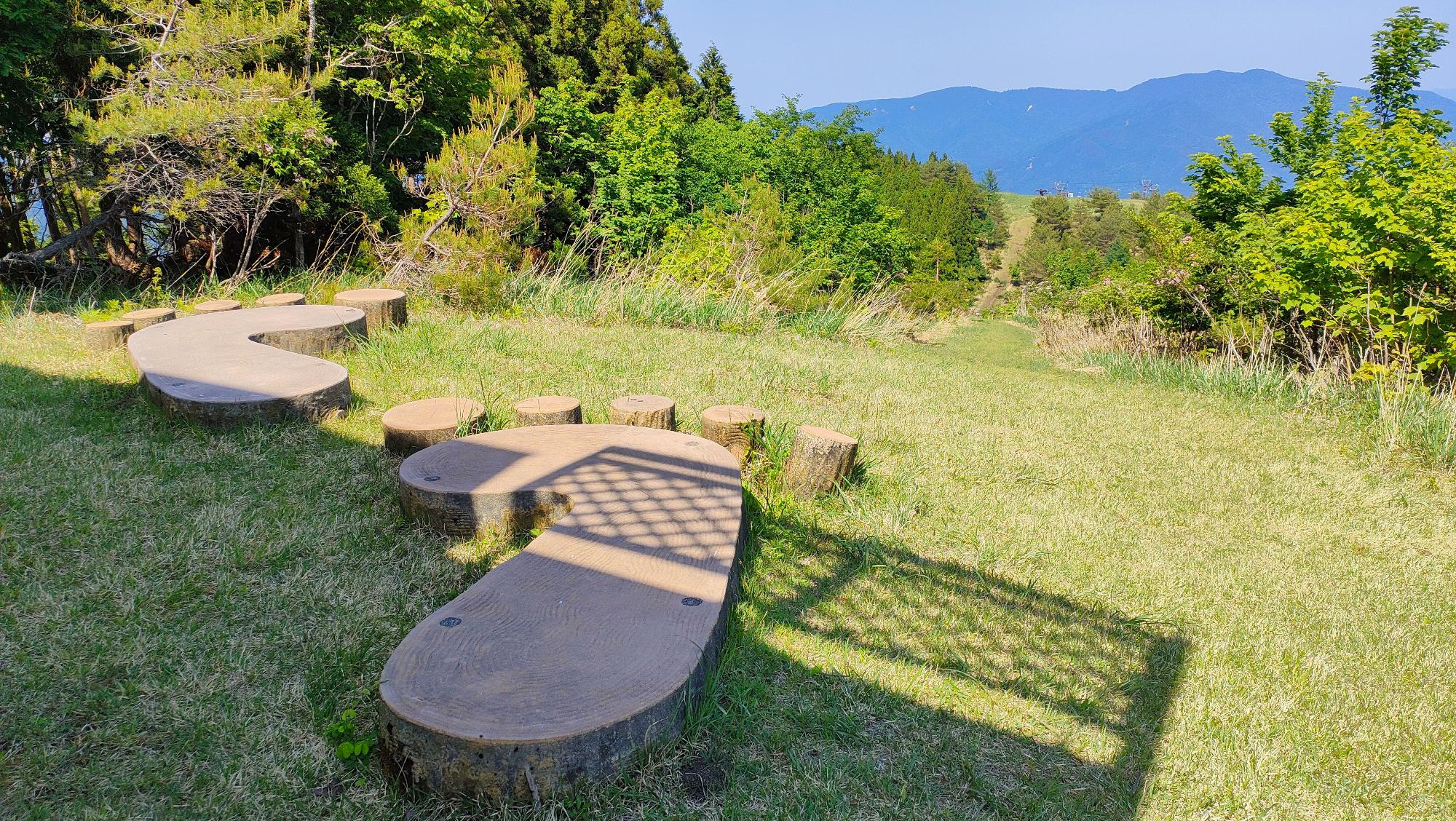 木や草に囲まれた場所に置かれた人の足跡の形をした2つのオブジェの写真