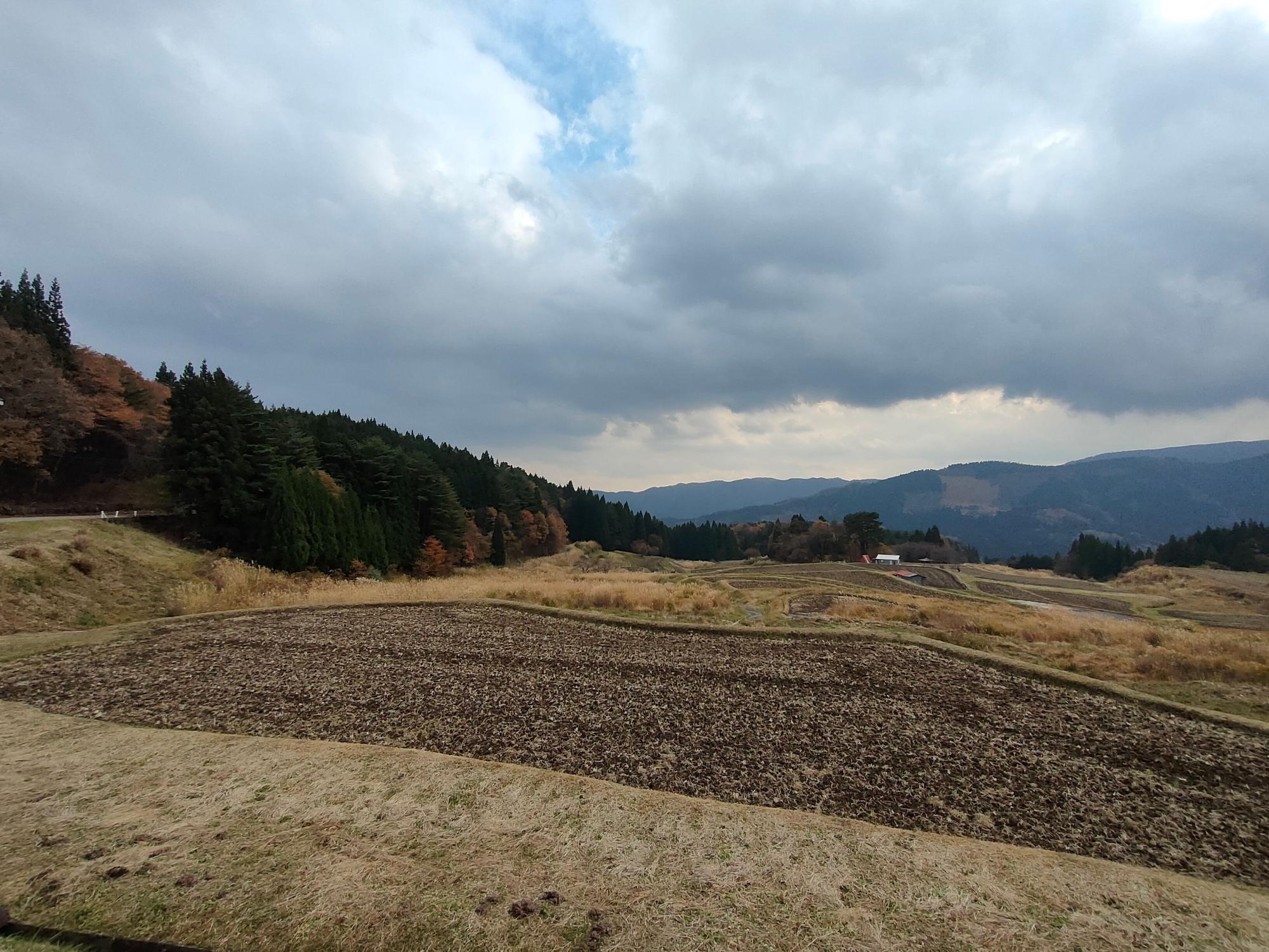 稲や水のない枯れた田んぼの写真