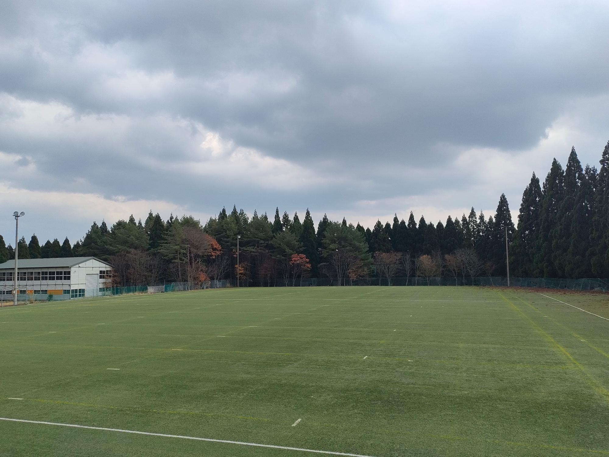 周りを木で囲まれた芝生のグラウンドの写真