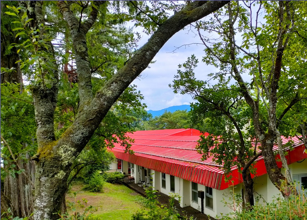 木々が茂る奥に建っている赤い屋根の建物の写真
