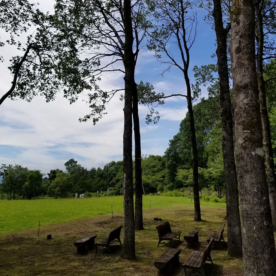 草地の隣の土に木々が生えている写真