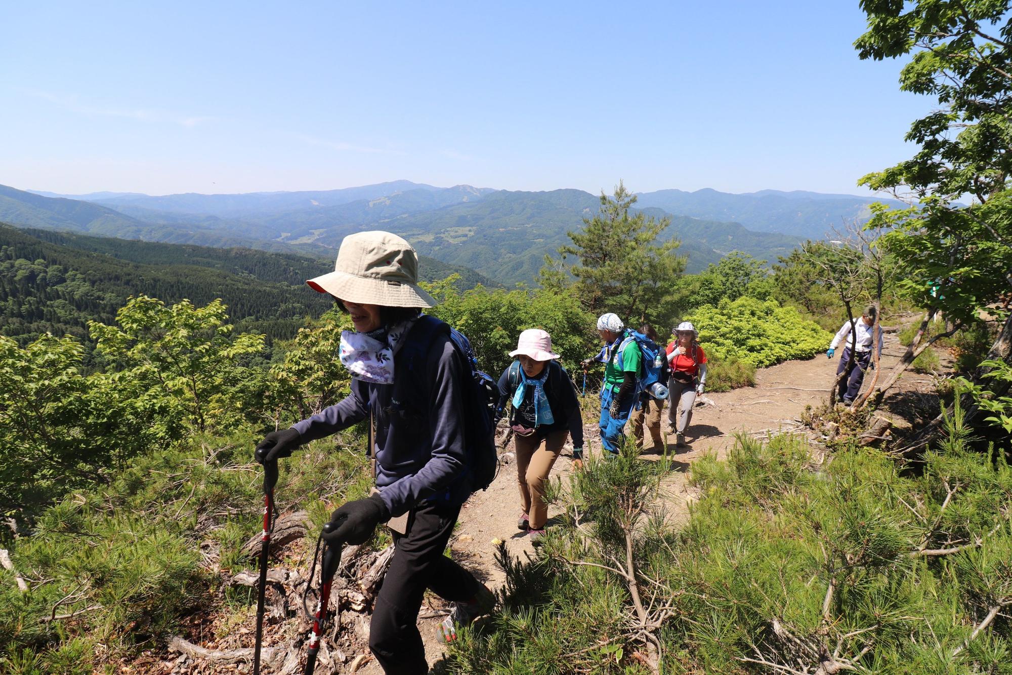 山道を杖を使って登っている登山客の写真
