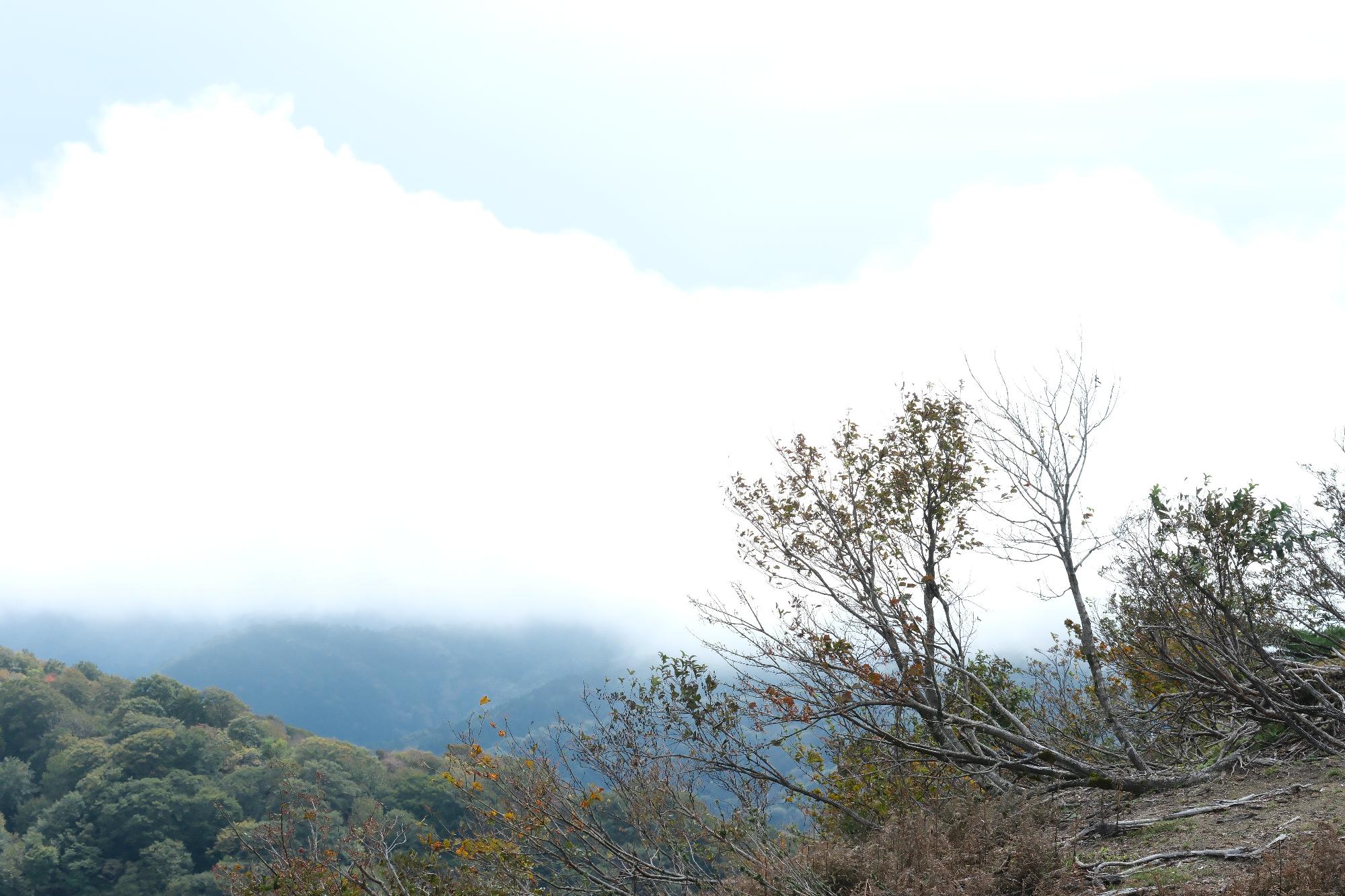 風景その2