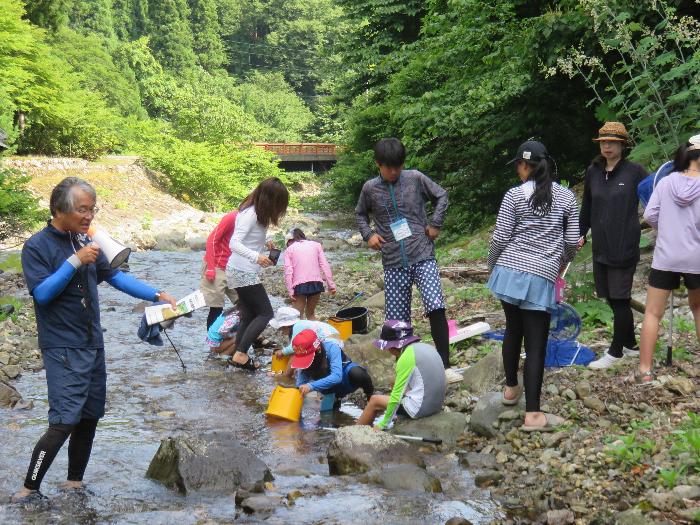 川の生き物観察