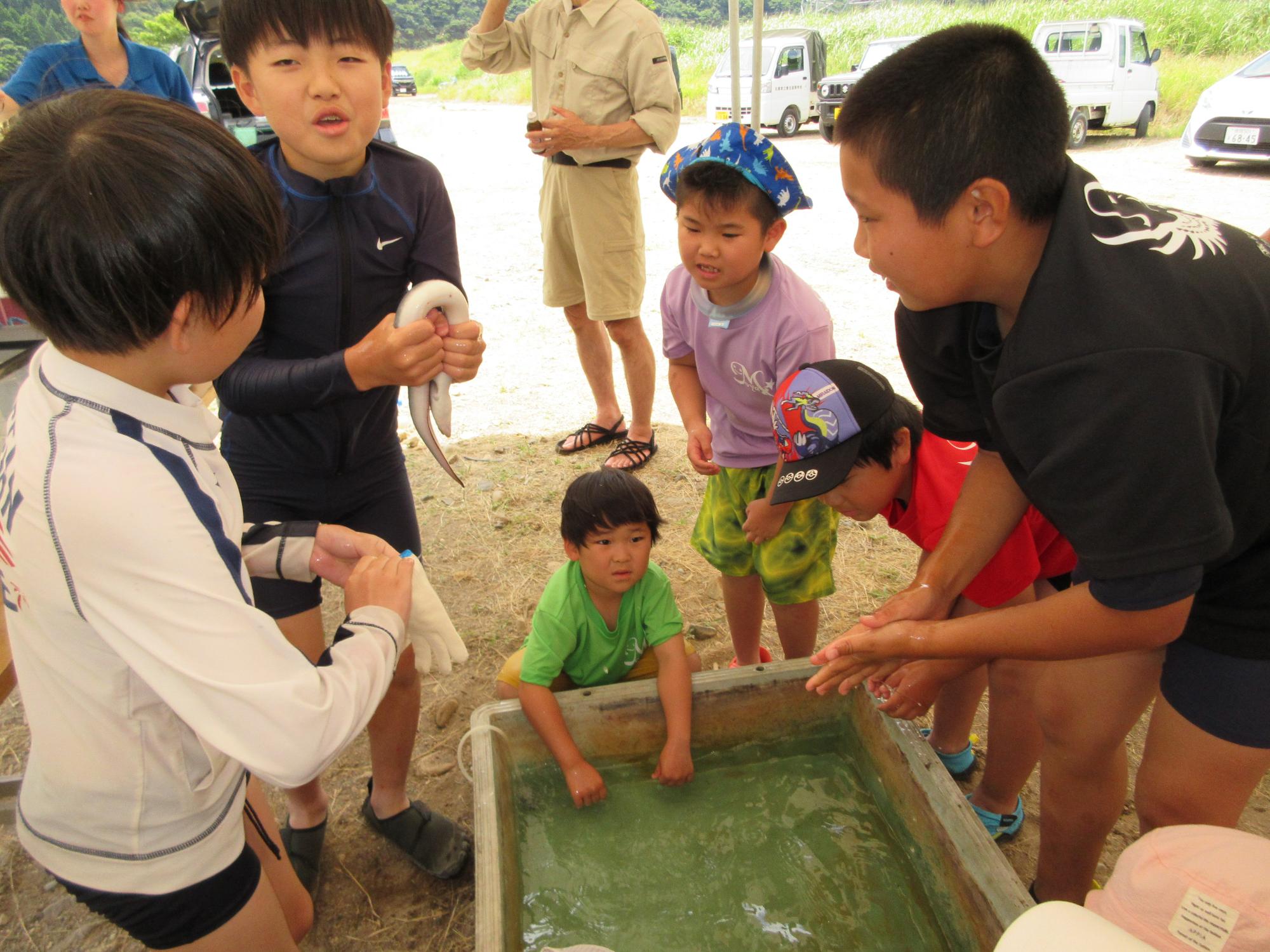 川の生き物観察3