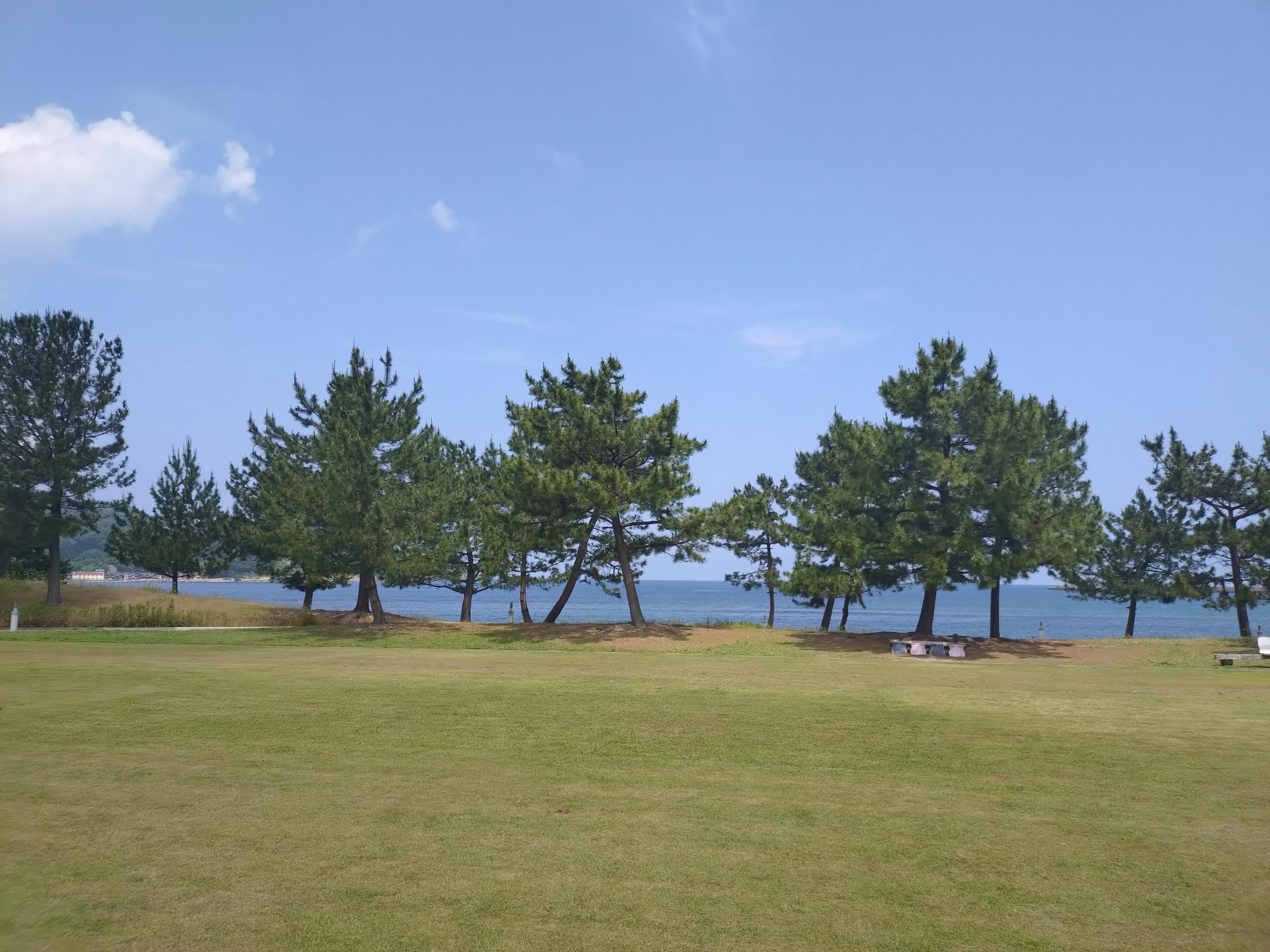 芝生の広場