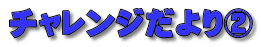 チャレンジだより2