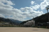大きな雲が浮かぶ青空の下、桜の咲くグラウンドが特徴的なグラウンドの写真