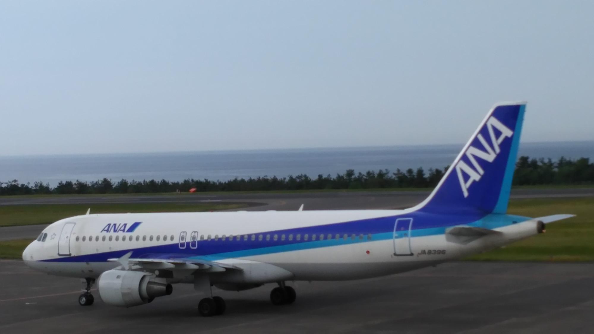 空港に着陸しているANAの飛行機の写真