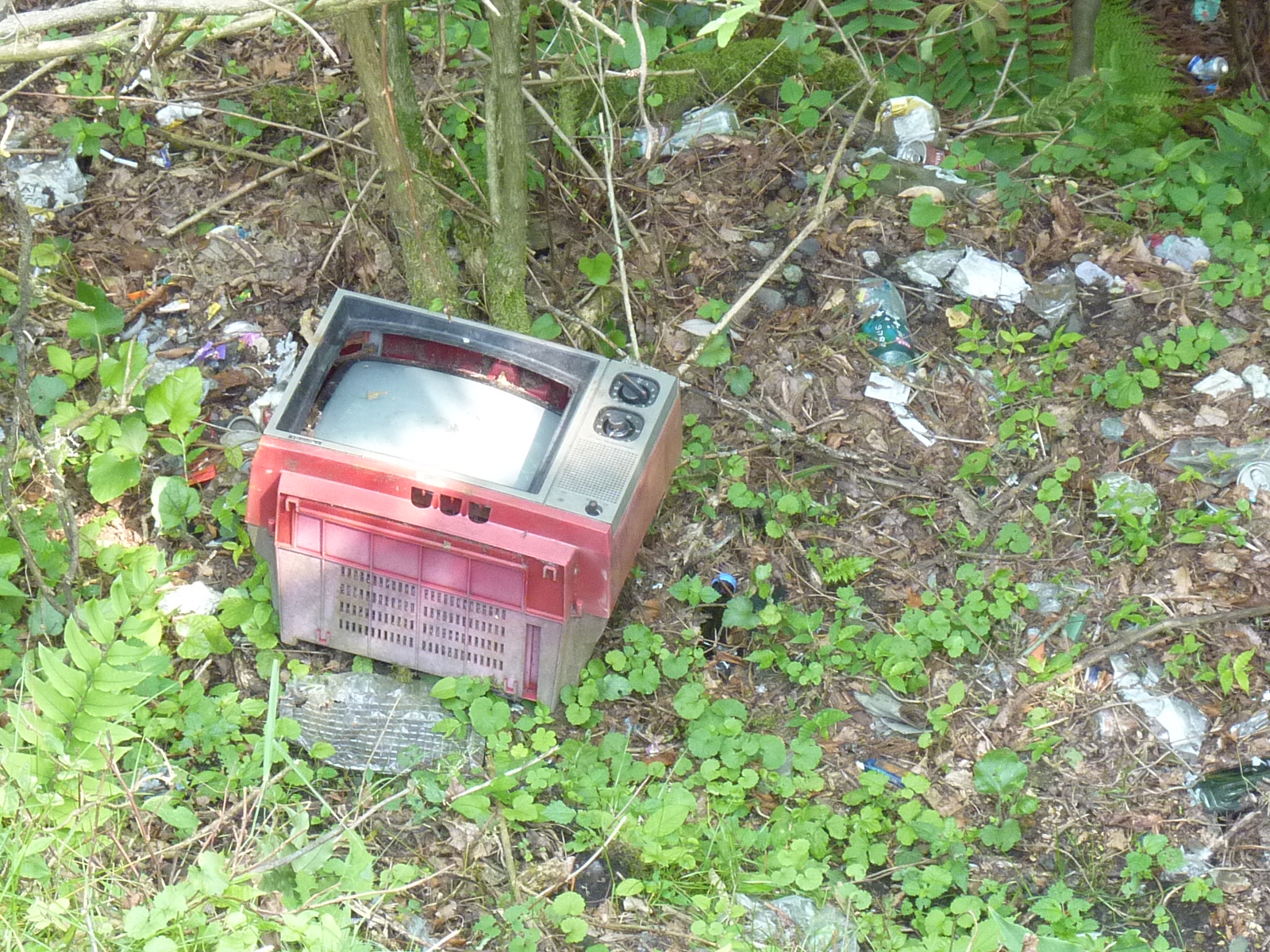 草むらの中に、不法投棄されている古い赤いブラウン管テレビの写真