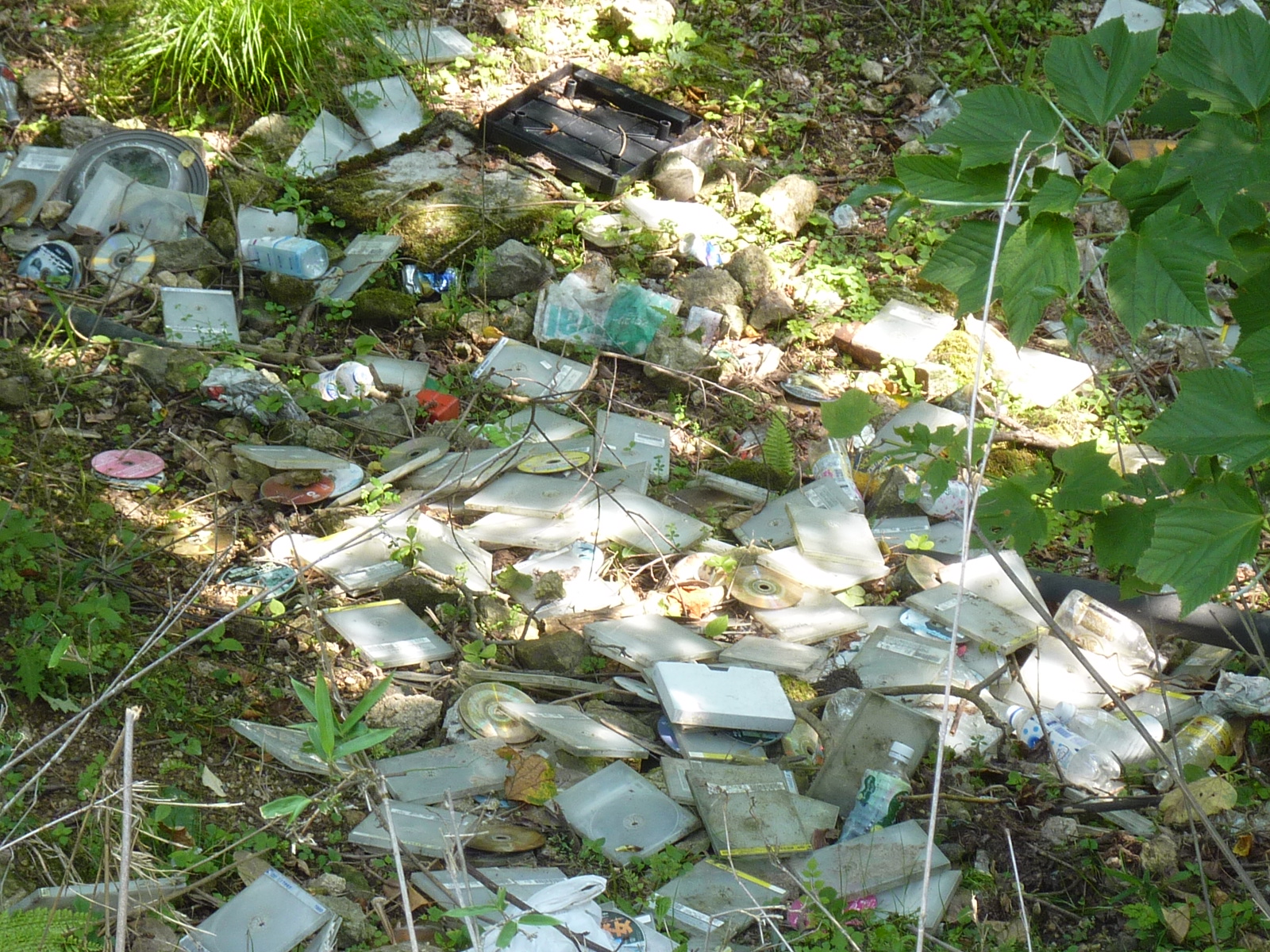 山林の草むらの中に、プラスチック容器や袋の廃棄物がちらばっている写真